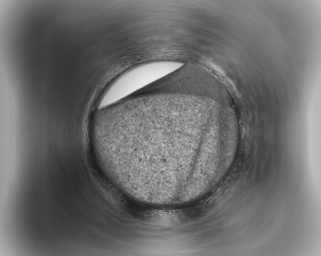 X0000095670250200802051236