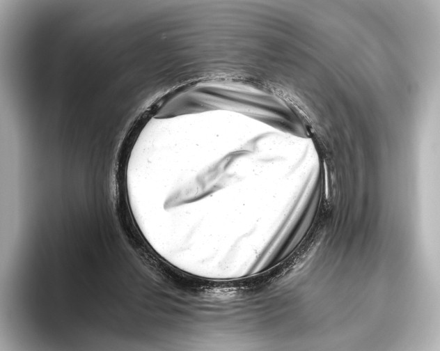 X0000095670252200802051236