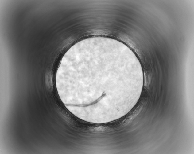 X0000095670253200802051236