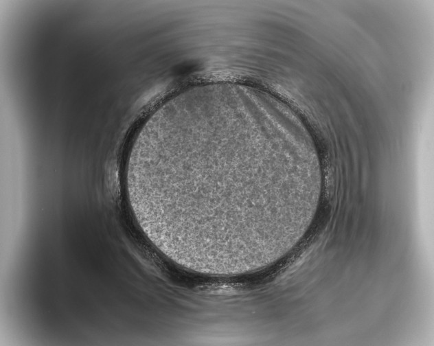 X0000095670254200802051236