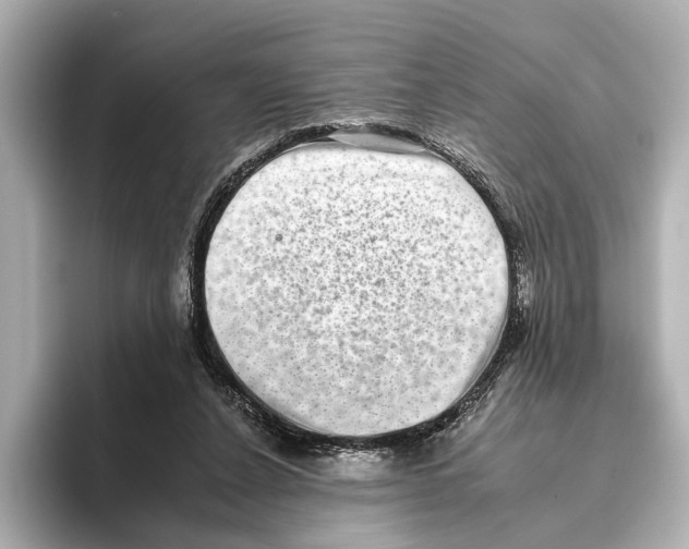 X0000095670256200802051236