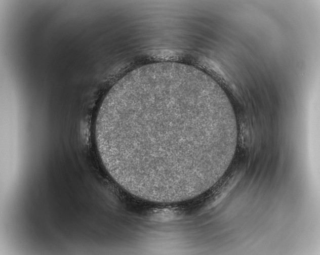 X0000095670259200802051236