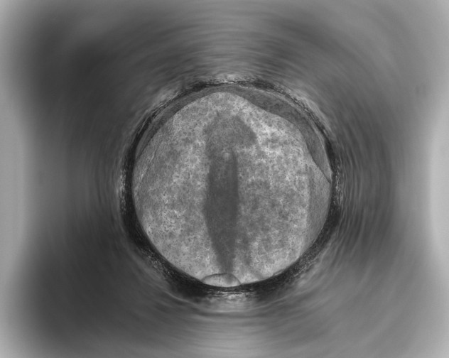 X0000095670260200802051236