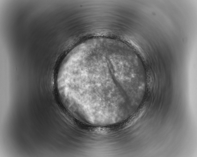 X0000095670261200802051236