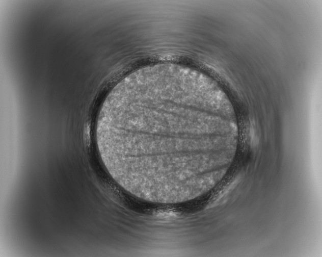X0000095670262200802051236