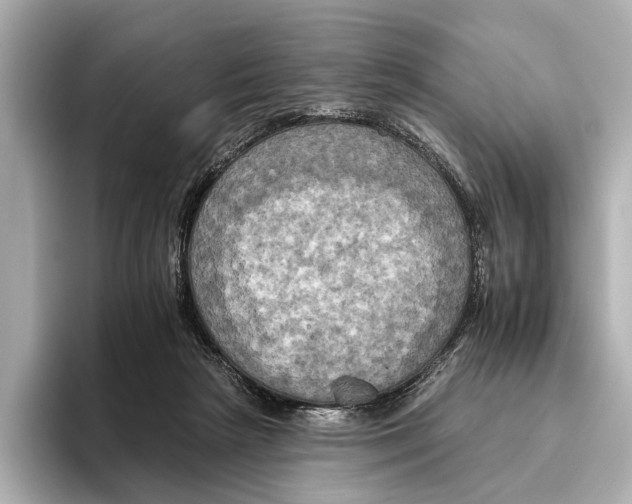 X0000095670265200802051236