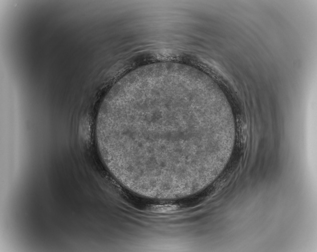 X0000095670266200802051236