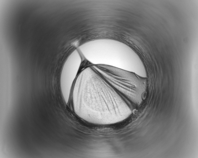X0000095670268200802051236