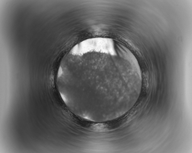 X0000095670269200802051236
