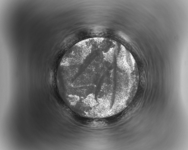 X0000095670270200802051236