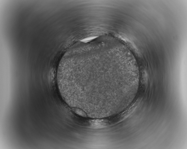X0000095670273200802051236