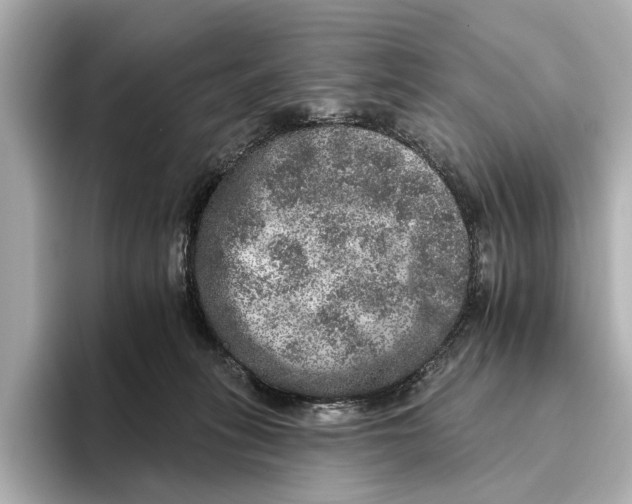 X0000095670275200802051236