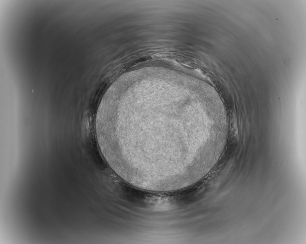 X0000095670276200802051236