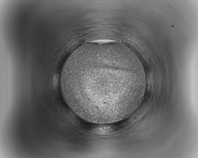 X0000095670278200802051236