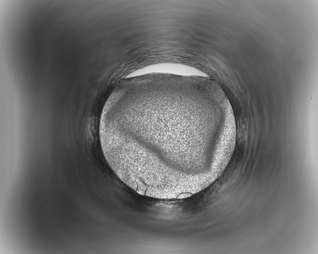 X0000095670280200802051237