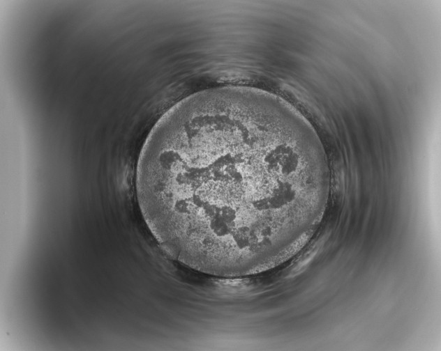 X0000095670281200802051237