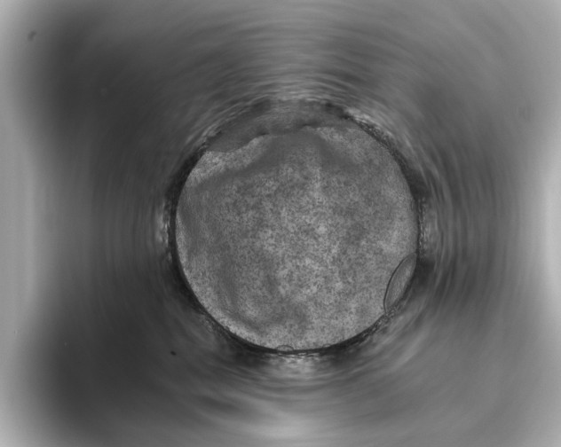 X0000095670282200802051237