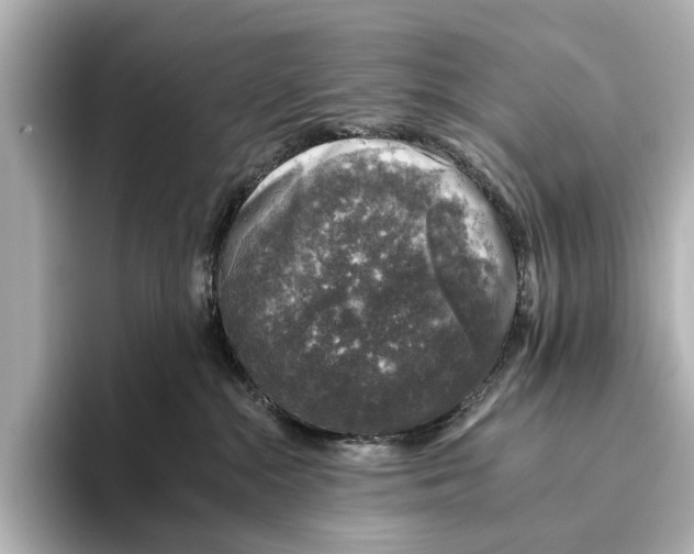 X0000095670284200802051237