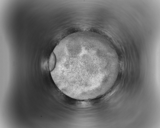 X0000095670286200802051237