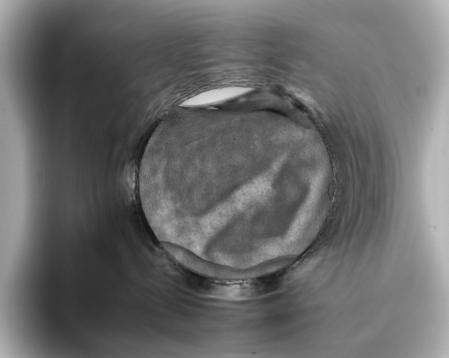 X0000095670288200802051237