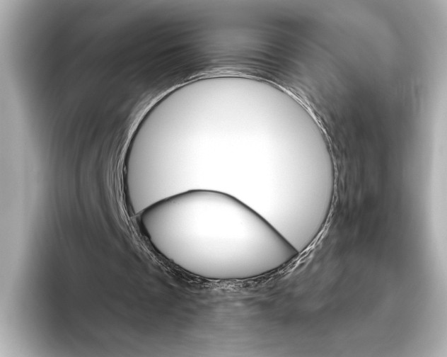 X0000095670289200802051236