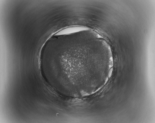 X0000095670290200802051236