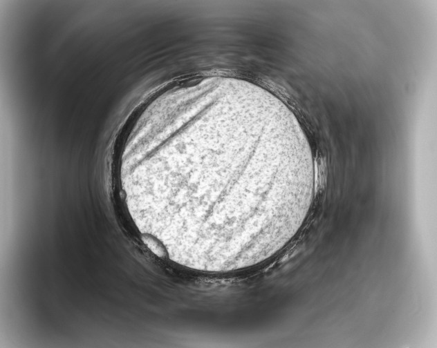 X0000095670291200802051236