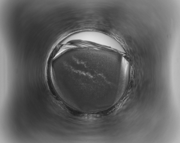 X0000095670292200802051236