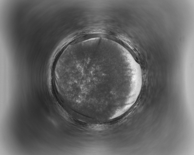 X0000095670293200802051236