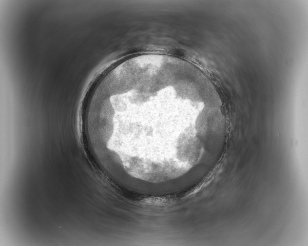 X0000095670294200802051236