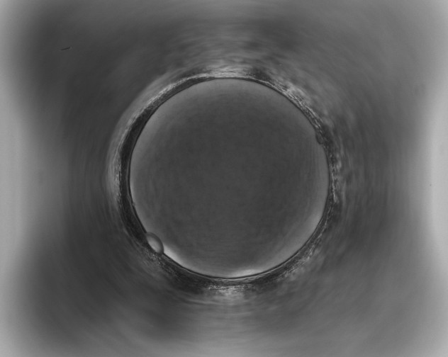 X0000095670295200802051236