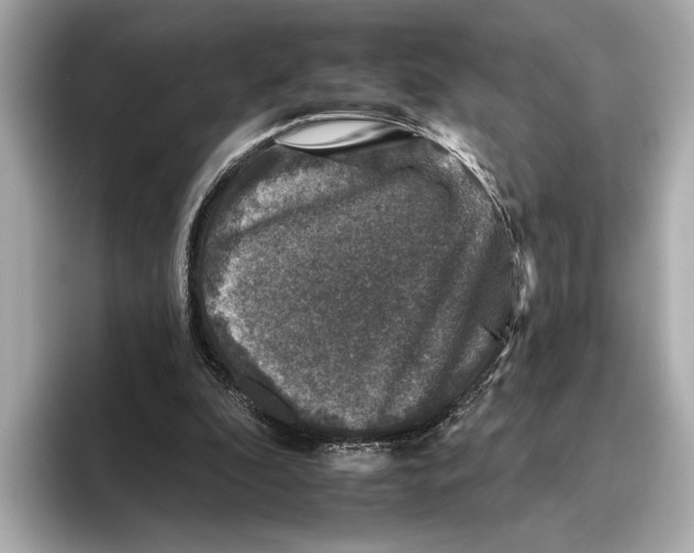 X0000095670296200802051236