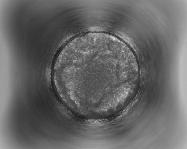 X0000095670297200802051236
