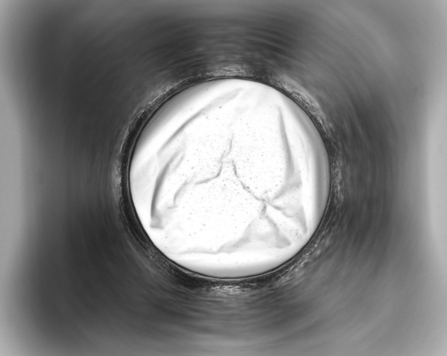 X0000095670298200802051236