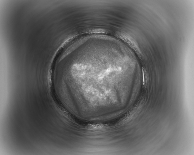 X0000095670300200802051236