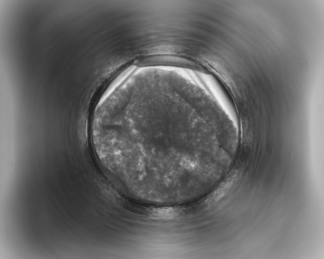 X0000095670301200802051236