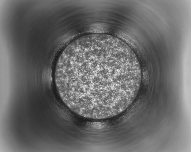 X0000095670302200802051236