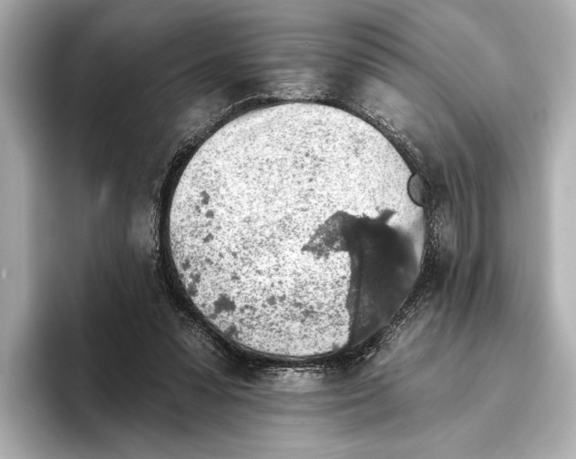 X0000095670303200802051236