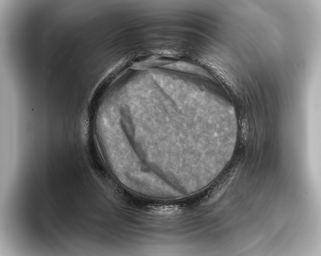X0000095670304200802051236