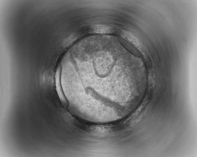 X0000095670305200802051236