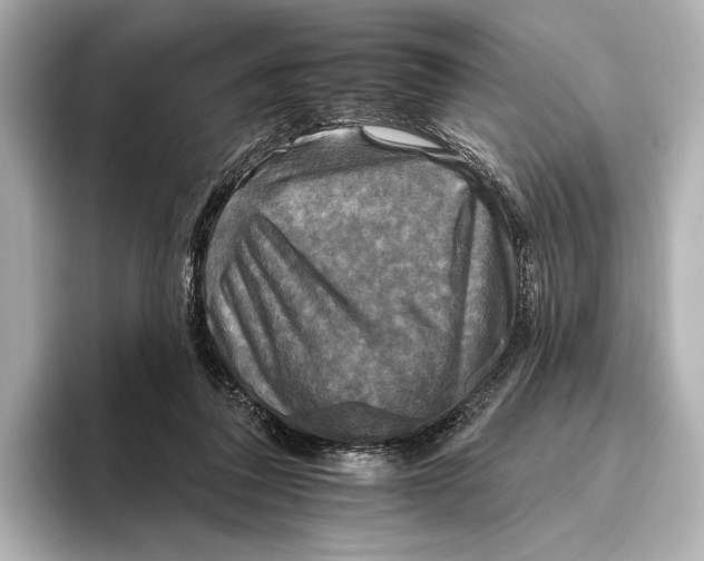 X0000095670308200802051236