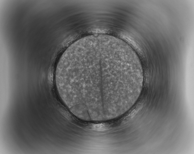 X0000095670309200802051236