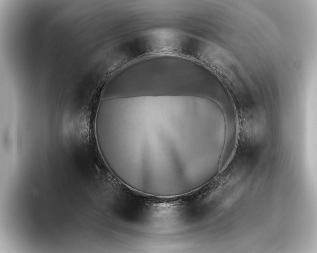 X0000095670312200802051236