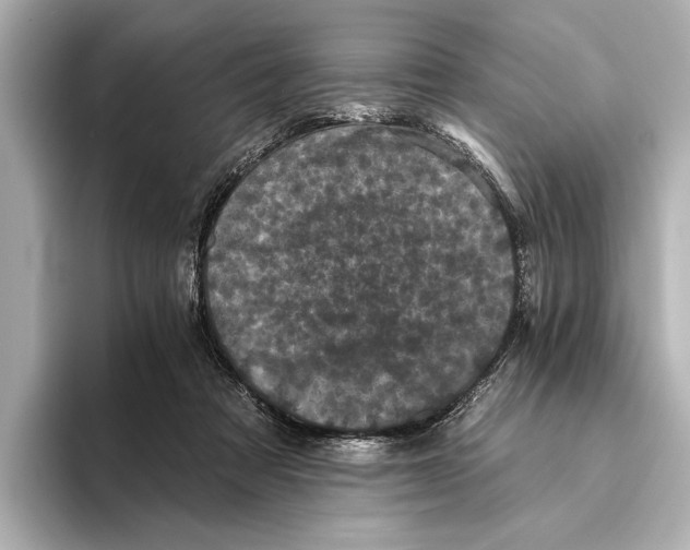 X0000095670313200802051236