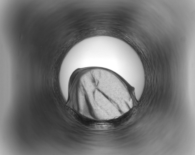 X0000095670316200802051236