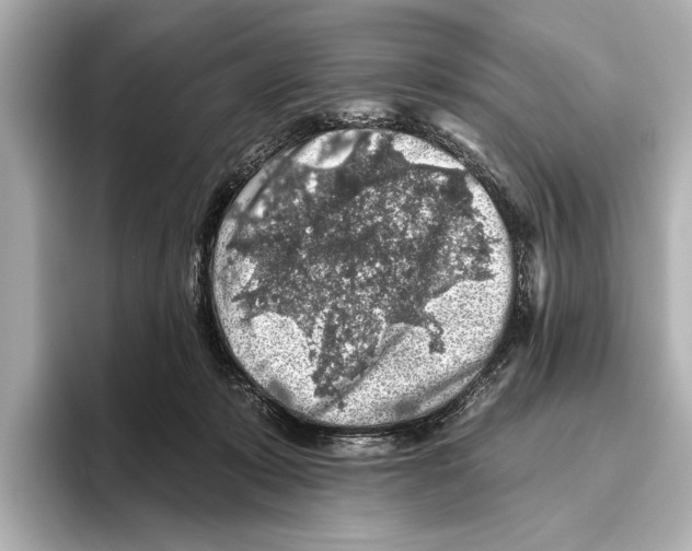 X0000095670319200802051236