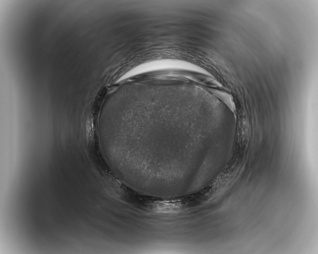 X0000095670320200802051236