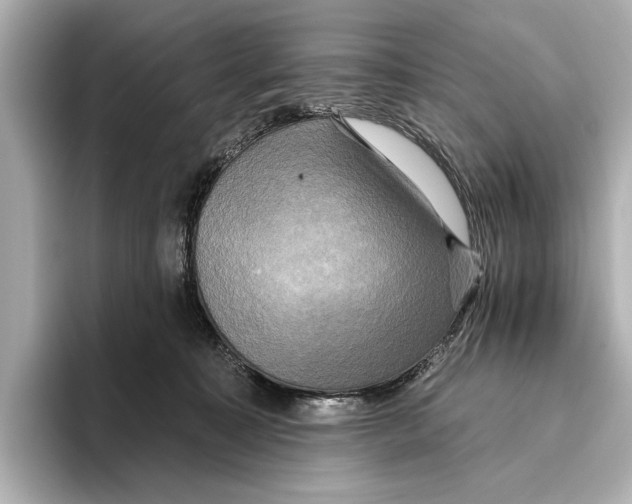 X0000095670323200802051236