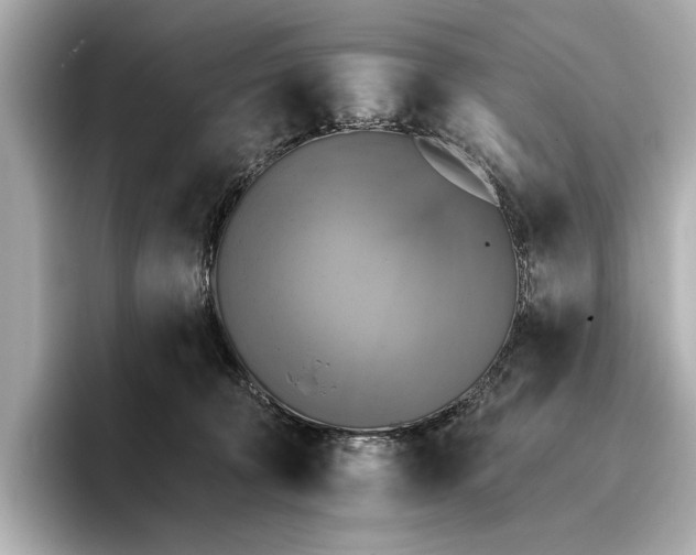 X0000095670324200802051236