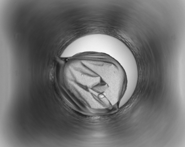 X0000095670325200802051236